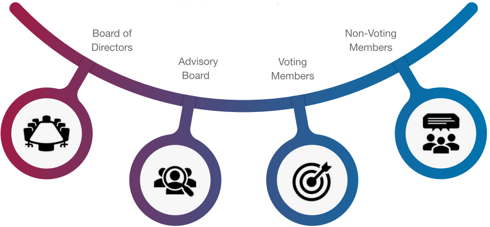 Formal Governance Structure